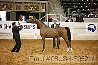 08usn-s05214 proof