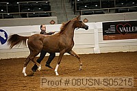 08usn-s05215 proof