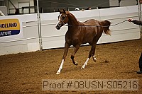 08usn-s05216 proof