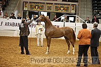 08usn-s05217 proof