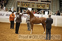 08usn-s05218 proof