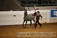08usn-s05219 proof