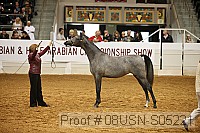 08usn-s05221 proof