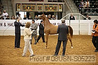 08usn-s05223 proof
