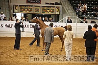 08usn-s05224 proof
