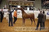 08usn-s05226 proof