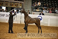 08usn-s05230 proof