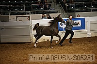 08usn-s05231 proof
