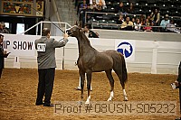 08usn-s05232 proof