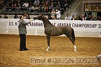 08usn-s05233 proof