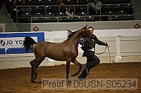 08usn-s05234 proof