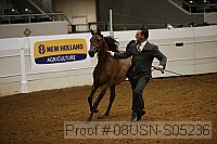 08usn-s05236 proof