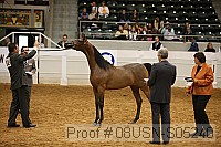 08usn-s05240 proof