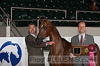 08usn-s05244 proof