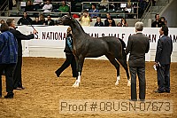 08usn-07673 proof