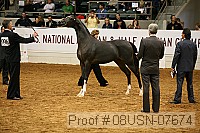 08usn-07674 proof