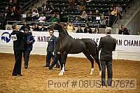 08usn-07675 proof