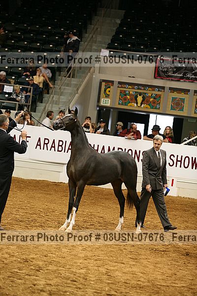Proof 08usn-07676