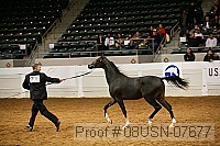 08usn-07677 proof