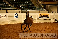 08usn-07679 proof