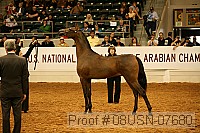 08usn-07680 proof