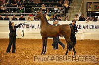 08usn-07682 proof