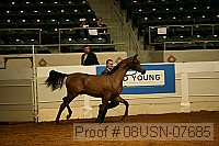 08usn-07685 proof