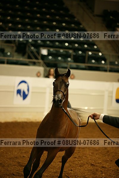 Proof 08usn-07686