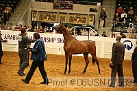 08usn-07689 proof