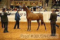 08usn-07691 proof