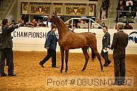 08usn-07692 proof