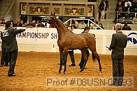 08usn-07693 proof