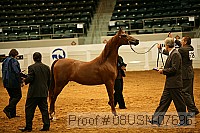 08usn-07696 proof