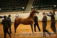 08usn-07697 proof