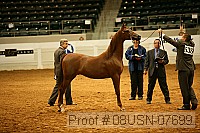 08usn-07699 proof