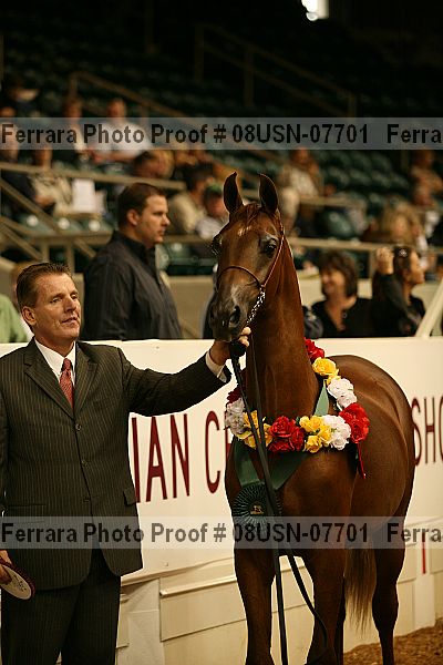 Proof 08usn-07701