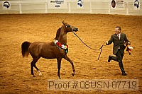 08usn-07719 proof