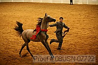 08usn-07722 proof