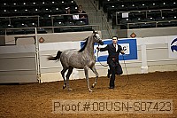 08usn-s07423 proof