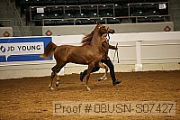 08usn-s07427 proof