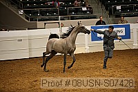 08usn-s07428 proof
