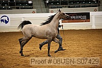 08usn-s07429 proof