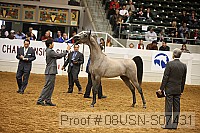 08usn-s07431 proof