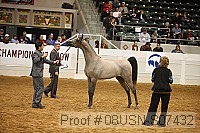 08usn-s07432 proof