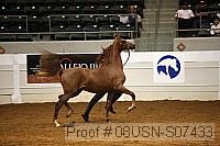 08usn-s07433 proof