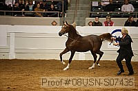 08usn-s07435 proof
