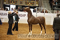 08usn-s07436 proof