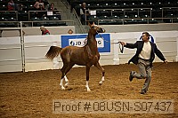 08usn-s07437 proof