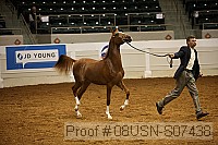 08usn-s07438 proof