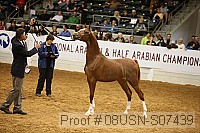 08usn-s07439 proof